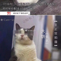 �������ϣ���è�Ŀͻ���û�а��������ǲ��ҽӴ��ģ�