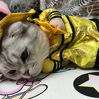 ����������ʱװ�㡿��ʪ���ٶ����˰�