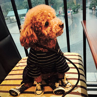 ����������ʱװ�㡿�����ĵĻ������