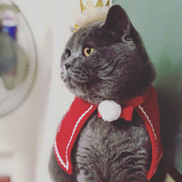 ����������ʱװ�㡿����è��С���ӣ������ҹ��°�~