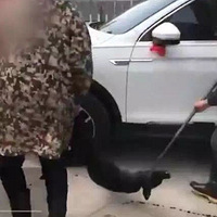 ����������������ɱ������Ѫ���³���ֻΪ��а��ƽ��