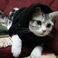 ����������ʱװ�㡿PG�룬����ճ�����