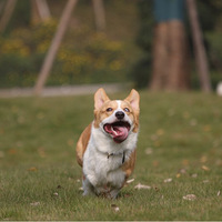 ��Ҫ�ɵĸ���