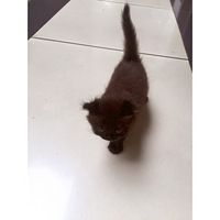 �ҽ��ɿ���