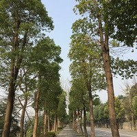 2017�ͱ�·�¹�  12��30�������¹�