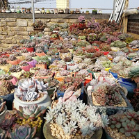 2017�軹����Щ�裬�ⲻ����Щ�⣬��Щ�����������Ķ���