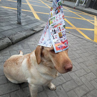 17�����һ�죡�����������