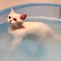 ��С��ҲҪ�ɸɾ���������Ŀ���