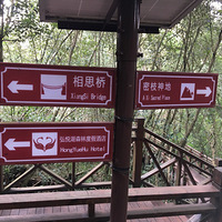 ˼
