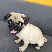 �����顿���ǰ͸��һ������@��¼��ĳɳ�