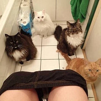 ��ҳ���ϲ��Χ����ϴ������ϲ�����