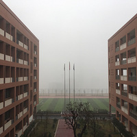 ȥĸɽſǳѧ8