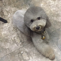 �ϰ�����ʯѰ��̩�ϣ���