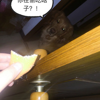 ���ѣ���������Ĳ�Ҫ̫������