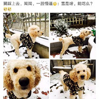 �ض���һֻƯ����ԭ��������