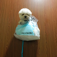 �ڼ���ô�͹����棿