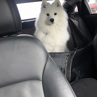 ��ĩ����ĩ����ĩ