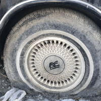 ����ţ����ʬ������������˹��˹������ͷ