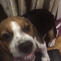 �Ҽ��й�������