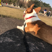 ������ѡ���������ҼҶ��Ƚ��������������󡭡�