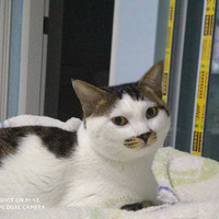 ������ѡ�������������˵��ճ�