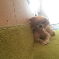 ������ѡ���������Ժ�����ӣ����ǻ����һ����ů�ļ�