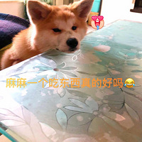 ������ѡ��������ĥ�˵�С����