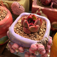 ��1.12�������̨��������������ˣ�