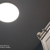 ������ѡ���������㿴�㿴��ԲԲ������