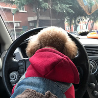 �Ƽ�����ҽ�� ���ʹ��� ������ҽ��