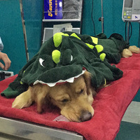 �ҽK춸�����ĵ�