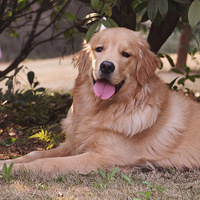 �����ᶬ����