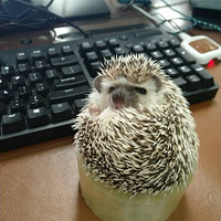 �����Ƽ���������С�ɰ�