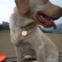 �þ�û���ˡ��ٱ������ͣ���������