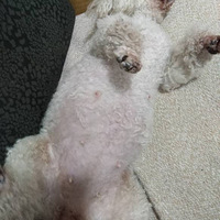 �Ҽ���ɫ̩������������