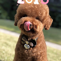 ������ѡ��������ɹɹ������ȱ���