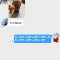 ̩��һ�ŵ����Ӿ��������������������������ж���