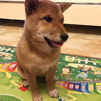 ������ѡ���������ȳ�ݵ���������һö��