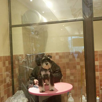 ������ѡ��������˧˧�պڽ���������