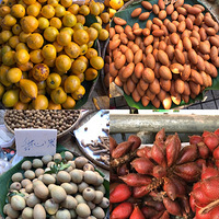 ���ڰ����ȵ��������������춳�ɹ�����Ľ�𣿼����𣿺���