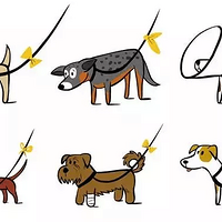 ������ڽ��Ͽ���ϵ�Ż�˿���Ĺ�����ǧ�����ǰߣ����