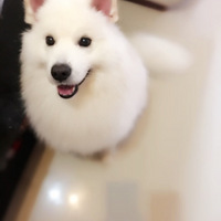 ��ĩ��ʱ���ڼҸ���ֻ����ϴ��