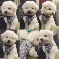 С���������ĳɳ��ռ�