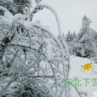 ˶治װ