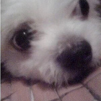 ��Ϊ�����ĵ�һֻ�������ź� ���Զ�����ر��