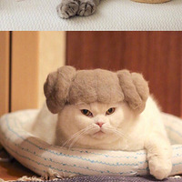 ������è���������ë���˸��ָ�����ñ�ӣ�̫�ɰ���