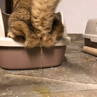 �������¡���ʺ�ٵı�������������ǰһ��Ҫ������׼��...