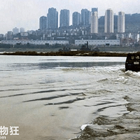 �ϰ����ưͶ���ͷ��һ��ԽҰ�����뽭�У�����������������