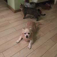 18�����飬лл