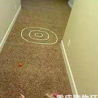 10ͥϷڼҾܴź񫣡
